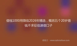 借钱1000用微信2026年精选，概括五个20岁借钱不求征信速借口子