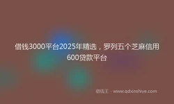 借钱3000平台2025年精选，罗列五个芝麻信用600贷款平台