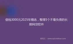 借钱3000元2025年精选，整理5个不看负债的长期网贷软件