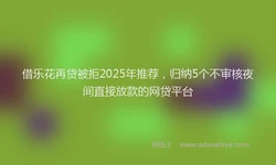 借乐花再贷被拒2025年推荐，归纳5个不审核夜间直接放款的网贷平台