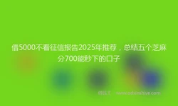 借5000不看征信报告2025年推荐，总结五个芝麻分700能秒下的口子