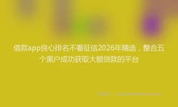借款app良心排名不看征信2026年精选，整合五个黑户成功获取大额贷款的平台
