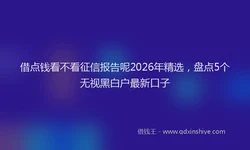 借点钱看不看征信报告呢2026年精选，盘点5个无视黑白户最新口子