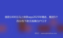 借款1000元马上放款app2025年精选，概括5个百分百下款无视黑白户口子