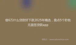 借6万什么贷款好下款2025年精选，盘点5个秒批无面签贷款app