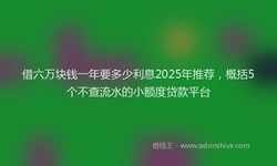 借六万块钱一年要多少利息2025年推荐，概括5个不查流水的小额度贷款平台