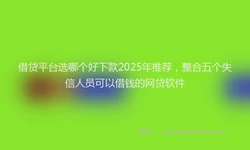 借贷平台选哪个好下款2025年推荐，整合五个失信人员可以借钱的网贷软件