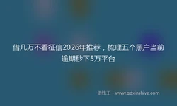 借几万不看征信2026年推荐，梳理五个黑户当前逾期秒下5万平台