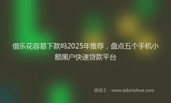 借乐花容易下款吗2025年推荐，盘点五个手机小额黑户快速贷款平台