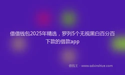 借借钱包2025年精选，罗列5个无视黑白百分百下款的借款app