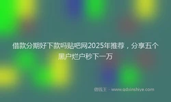 借款分期好下款吗贴吧网2025年推荐，分享五个黑户烂户秒下一万