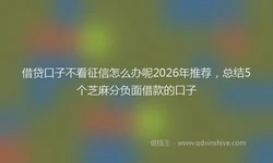 借贷口子不看征信怎么办呢2026年推荐，总结5个芝麻分负面借款的口子