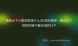 借款必下小额贷款是什么2026年推荐，整合五个贷款好做不看征信的口子