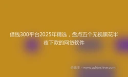 借钱300平台2025年精选，盘点五个无视黑花半夜下款的网贷软件