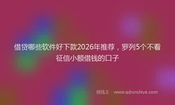 借贷哪些软件好下款2026年推荐，罗列5个不看征信小额借钱的口子