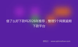 借了么好下款吗2026年推荐，整理5个网黑逾期下款平台
