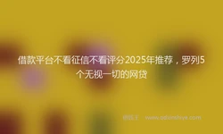 借款平台不看征信不看评分2025年推荐，罗列5个无视一切的网贷