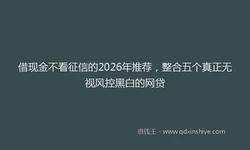 借现金不看征信的2026年推荐，整合五个真正无视风控黑白的网贷