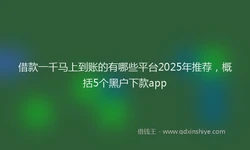 借款一千马上到账的有哪些平台2025年推荐，概括5个黑户下款app
