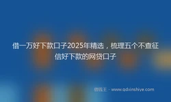 借一万好下款口子2025年精选，梳理五个不查征信好下款的网贷口子