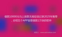 借款10000元马上放款无视征信记录2025年推荐，总结五个APP容易借款1万块的软件