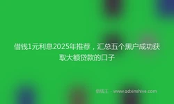 借钱1元利息2025年推荐，汇总五个黑户成功获取大额贷款的口子