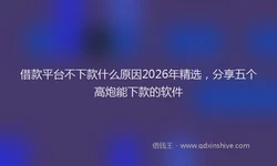 借款平台不下款什么原因2026年精选，分享五个高炮能下款的软件