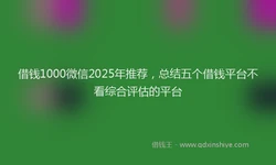借钱1000微信2025年推荐，总结五个借钱平台不看综合评估的平台
