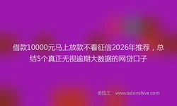 借款10000元马上放款不看征信2026年推荐，总结5个真正无视逾期大数据的网贷口子