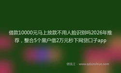 借款10000元马上放款不用人脸识别吗2026年推荐，整合5个黑户借2万元秒下网贷口子app