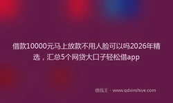 借款10000元马上放款不用人脸可以吗2026年精选，汇总5个网贷大口子轻松借app