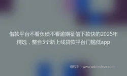 借款平台不看负债不看逾期征信下款快的2025年精选，整合5个新上线贷款平台门槛低app