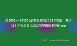 借5000一个月500的利息高吗2025年精选，整合五个无视黑白无视征信申请就下款的app