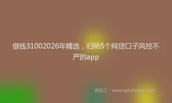 借钱31002026年精选，归纳5个网贷口子风控不严的app