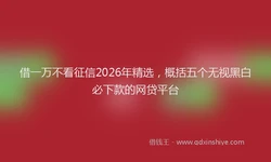 借一万不看征信2026年精选，概括五个无视黑白必下款的网贷平台