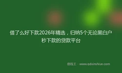 借了么好下款2026年精选，归纳5个无论黑白户秒下款的贷款平台