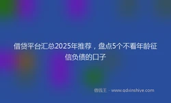 借贷平台汇总2025年推荐，盘点5个不看年龄征信负债的口子