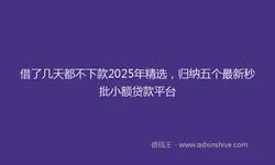 借了几天都不下款2025年精选，归纳五个最新秒批小额贷款平台