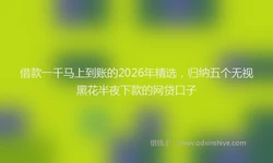 借款一千马上到账的2026年精选，归纳五个无视黑花半夜下款的网贷口子