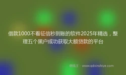 借款1000不看征信秒到账的软件2025年精选，整理五个黑户成功获取大额贷款的平台
