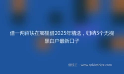 借一两百块在哪里借2025年精选，归纳5个无视黑白户最新口子