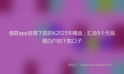 借款app容易下款的62025年精选，汇总5个无视黑白户的下款口子