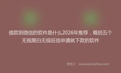 借款到微信的软件是什么2026年推荐，概括五个无视黑白无视征信申请就下款的软件