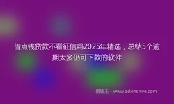 借点钱贷款不看征信吗2025年精选，总结5个逾期太多仍可下款的软件