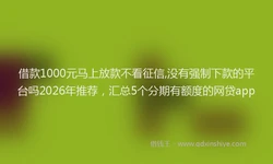 借款1000元马上放款不看征信,没有强制下款的平台吗2026年推荐，汇总5个分期有额度的网贷app