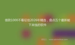 借款1000不看征信2026年精选，盘点五个最新能下来钱的软件