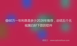 借60万一年利息是多少2026年推荐，总结五个无视黑白好下款的软件