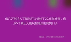 借几万别求人了微信可以借钱了2025年推荐，盘点5个真正无视风控黑白的网贷口子