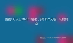 借钱1万以上2025年精选，罗列5个无视一切的网贷