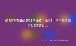 借5万不看征信2025年推荐，概括5个黑户急需三万秒到的的app